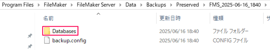 filemaker-server-how-to-use_img20