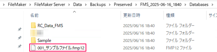 filemaker-server-how-to-use_img21