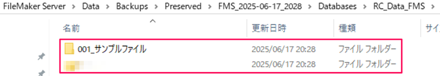 filemaker-server-how-to-use_img23