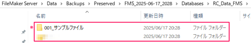 filemaker-server-how-to-use_img24