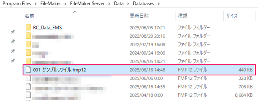 filemaker-server-how-to-use_img26