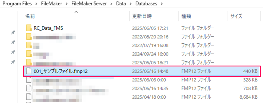 filemaker-server-how-to-use_img3
